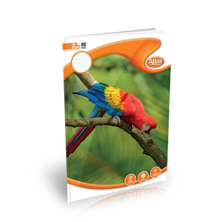 CR Books Square Rule - Atlas (80/120/160/200 pages)